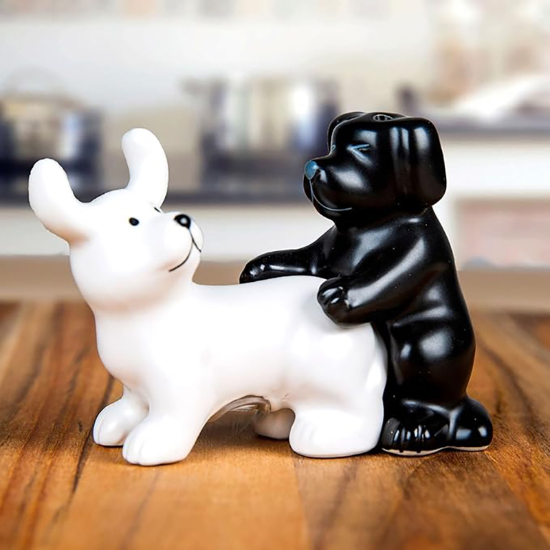 Korean Kitchen Gadgets - Czarno-biały ceramiczny zestaw solniczek i pieprzniczek