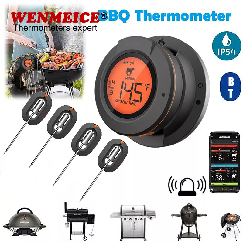 WENMEICE Termometr Bluetooth z – Kitchen Gadgets Under 500 recenzja i cena
